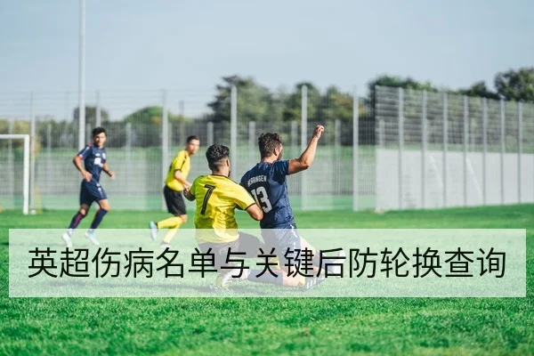 英超伤病名单与关键后防轮换查询
